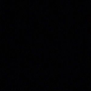 Meet your Posher, Nina